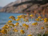 Baška
